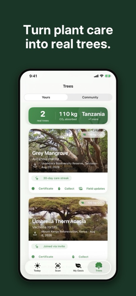 The Trees tab showing real trees planted, CO2 absorbed and their locations.