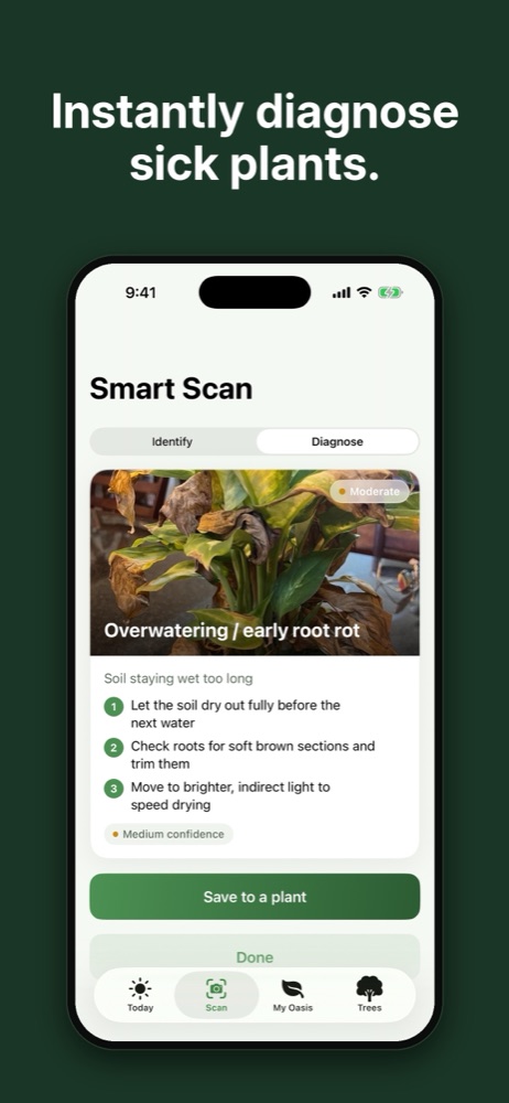 Smart Scan diagnosing early root rot with ordered fix steps and a confidence score.